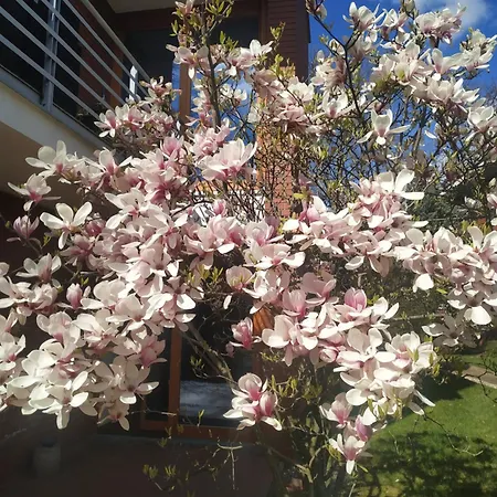 Apartmán Aquincum Dunaparti *
